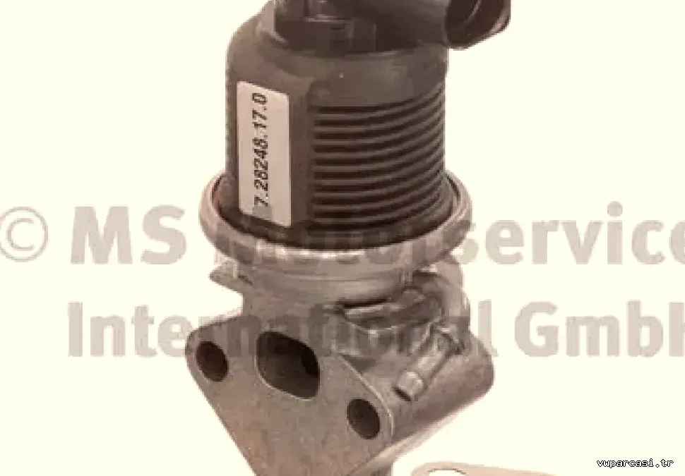 EGR VALF BORA FABIA OCTAVIA POLO 1,4 16V AUA BBY BBZ BCB BKY - Pierburg - PIERBURG 7.28248.17.0
