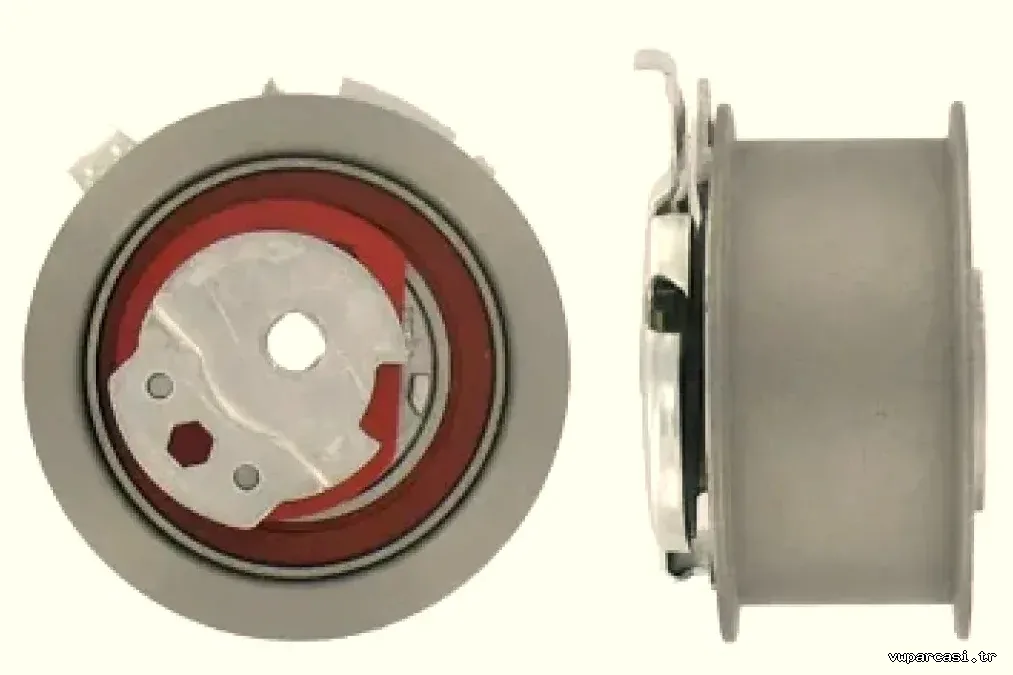 EKSANTRIK GERGI RULMANI OCTAVIA GOLF V PASSAT TOURAN A3 A4 A6 ALTEA LEON 2,0 TDI 03> - SKF - SKF VKM11255